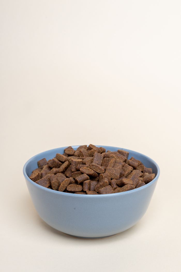 About Studio shot of a blue bowl filled with brown pet food pellets against a neutral white background.